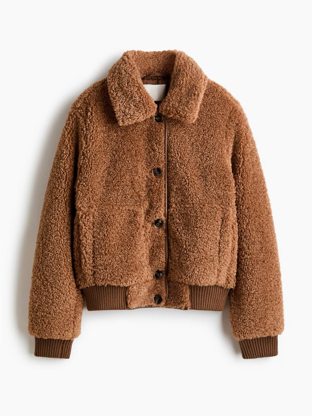 Nwt Teddy Fleece jacket (H&M)